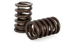 Load image into Gallery viewer, KVS4843 | V8 Valve Single Spring Set