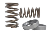 Load image into Gallery viewer, KVS56 | VK56 Valve Springs