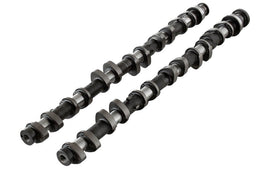 Kelford 264/264 | Stage 1 1FZ-FE