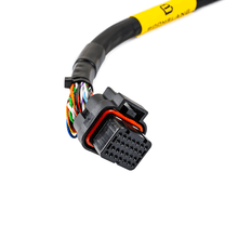 Load image into Gallery viewer, FuelTech FT450 2009 &amp; Older Sea Doo Jet-ski PNP