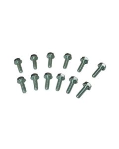 Bolts, Header, GM LS, M8 X 1.25 X 25 Mm Long