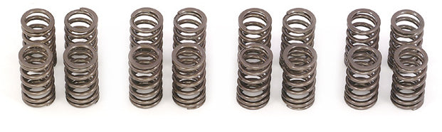 Toda Racing 3SG (SXE10) Up Rated Valve Springs