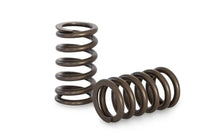 Load image into Gallery viewer, KVS63 | 4G63 EVO 1-9 Springs