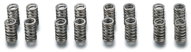 Toda Racing 4AG (4valve) Up Rated Valve Springs