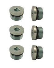 Load image into Gallery viewer, Plug, Steel -8An, 3/4-16, With O-Ring