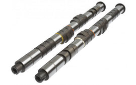 Kelford 284/274 | Stage 2 B16A/B18C VTEC