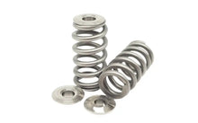 Load image into Gallery viewer, KVS48-BT | B48 Valve Springs