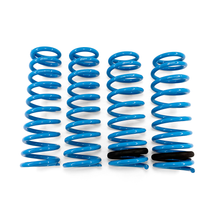 Load image into Gallery viewer, BLOX Racing Lowering Springs - 92-95 Civic/92-97 Del Sol