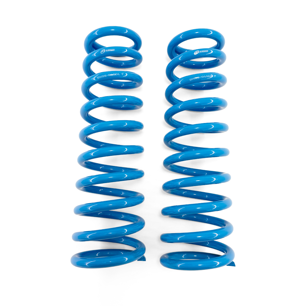 BLOX Racing Lowering Springs - 92-95 Civic/92-97 Del Sol