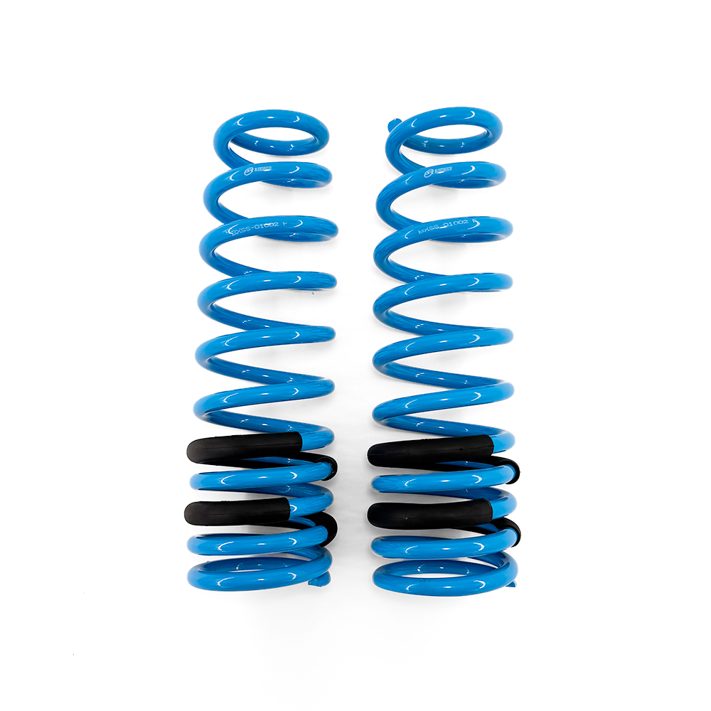 BLOX Racing Lowering Springs - 96-00 Civic