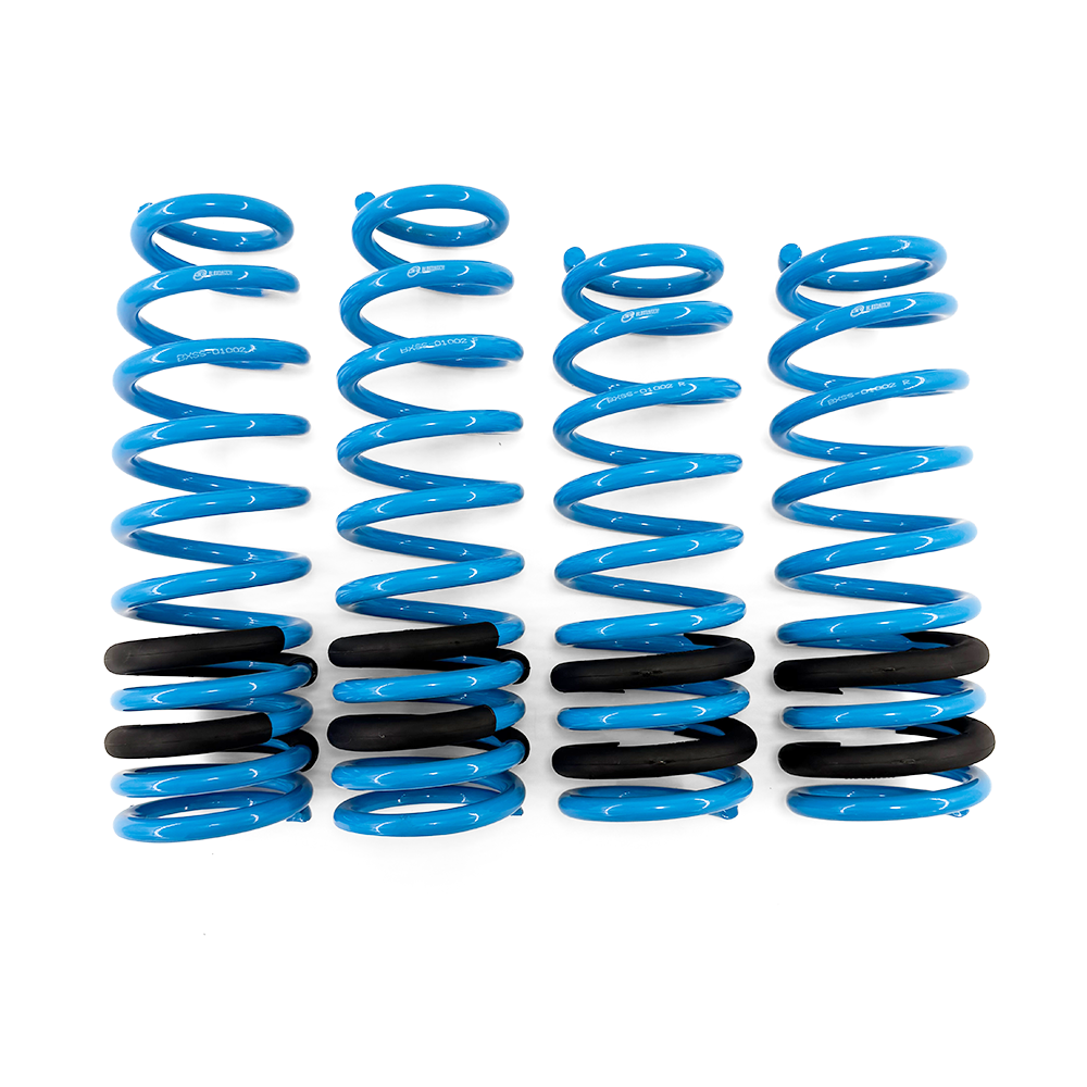 BLOX Racing Lowering Springs - 96-00 Civic