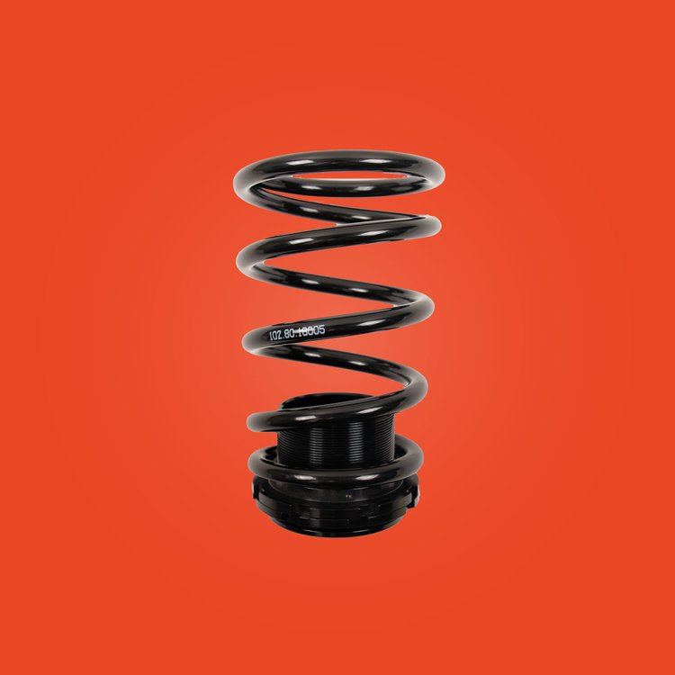 FORD MUSTANG S197 5TH GEN 05-14 Coilovers - Riaction Performance Shocks