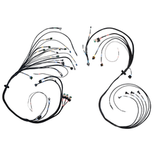 Load image into Gallery viewer, FuelTech  FT550 4 Cylinder Universal B Expansion Harness