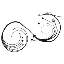 Load image into Gallery viewer, Fuel Tech  FT550 4 Cylinder Universal B Expansion Harness