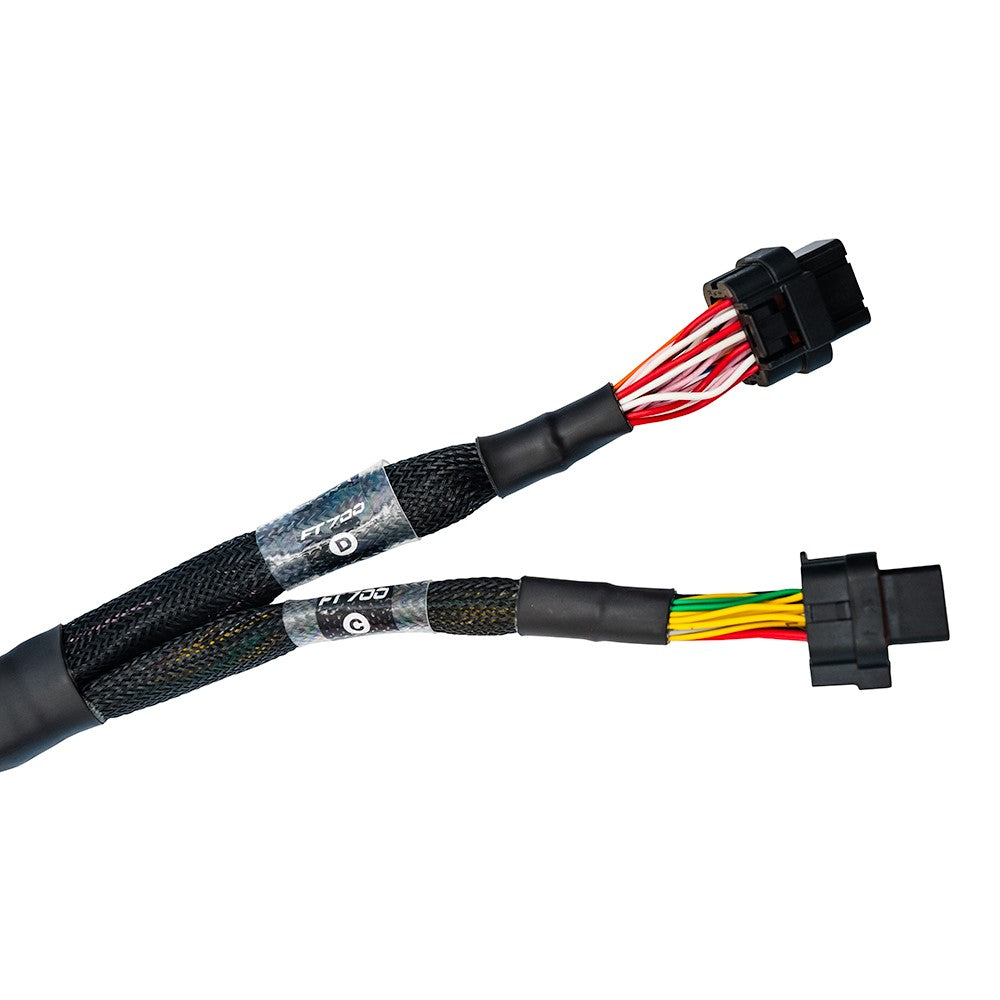 FuelTech FT700 C & D Unterminated Harness — Image 2