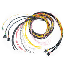 Load image into Gallery viewer, FuelTech FT700 C &amp; D Unterminated Harness
