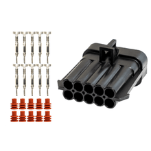 Load image into Gallery viewer, FuelTech LS550 V8 10-Way Connector Kit