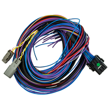 Load image into Gallery viewer, FuelTech Peak &amp; Hold PRO Harness