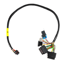 Load image into Gallery viewer, FuelTech FT450 2009 &amp; Older Rotax Harness