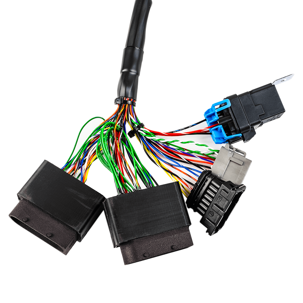 FuelTech FT450 2009 & Older Rotax Harness — Image 2