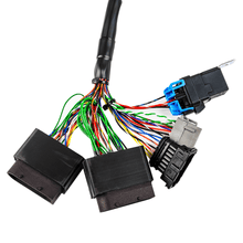 Load image into Gallery viewer, FuelTech FT450 2009 &amp; Older Rotax Harness — Image 2