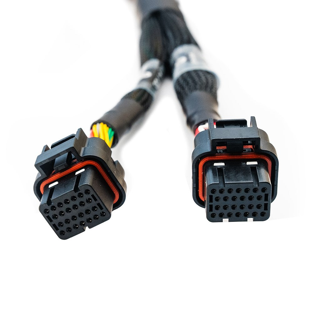 FuelTech FT700 C & D Unterminated Harness — Image 3