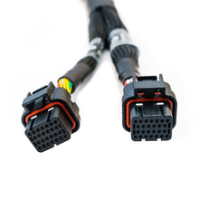 Load image into Gallery viewer, FuelTech FT700 C &amp; D Unterminated Harness — Image 3