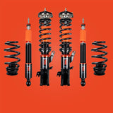 GP-1 DIGRESSIVE FORD FIESTA ST MK6