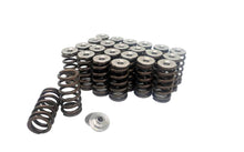 Load image into Gallery viewer, 3L Ecoboost V6 | Valve Springs