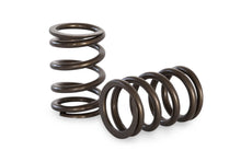 Load image into Gallery viewer, Kelford KVS401 | Formula Ford Valve Springs