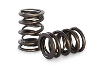 Load image into Gallery viewer, Kelford KVS402 | Ford Dual Springs
