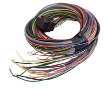 Load image into Gallery viewer, Link ECU A Loom Medium (2LA)