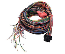 Load image into Gallery viewer, Link ECU A Loom Long (5LA)