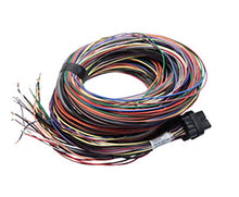 Load image into Gallery viewer, Link ECU B Loom Long (5LB)