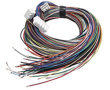 Load image into Gallery viewer, Link ECU Loom G1 / G2 LinkPlus X2ML