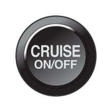 Load image into Gallery viewer, Link ECU CAN Keypad Insert - Cruise On/Off