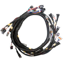 Load image into Gallery viewer, Link ECU Replacement Base Harness GM LS GEN3/4