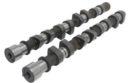 Kelford 256/250 | Stage 1 Mazda B6 N/A
