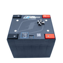 Load image into Gallery viewer, Full Spectrum Power P.Motive 2K 16V Racing Battery