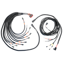 Load image into Gallery viewer, FuelTech FT550/FT600 FTSPARK-8 PRO Harness