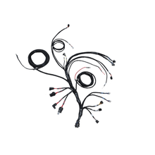 Load image into Gallery viewer, FuelTech FT550 PRO V8 Complete Harness — Image 3
