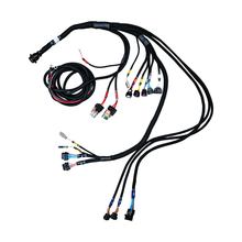 Load image into Gallery viewer, FuelTech FT600 PRO V8 Complete Harness — Image 3