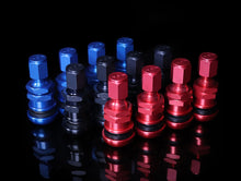 Load image into Gallery viewer, Rays Engineering Air Valve Stem Set