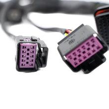 Load image into Gallery viewer, FuelTech FT550 to FT600/FT700 Adapter Harness — Image 5