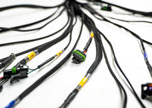 Load image into Gallery viewer, FuelTech  FT450/550 4 Cylinder Universal A Harness