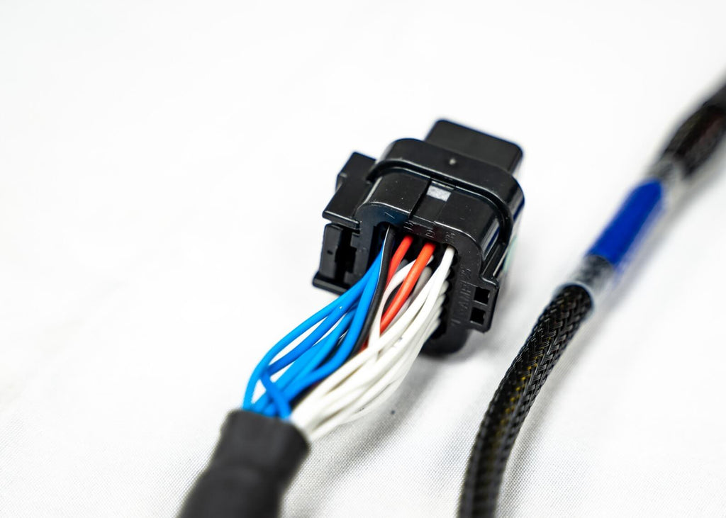 FuelTech  FT450/550 4 Cylinder Universal A Harness