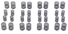 Load image into Gallery viewer, Toda Racing B16A/B16B/B18C Up Rated Valve Springs
