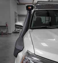 Load image into Gallery viewer, Photo - Mounted