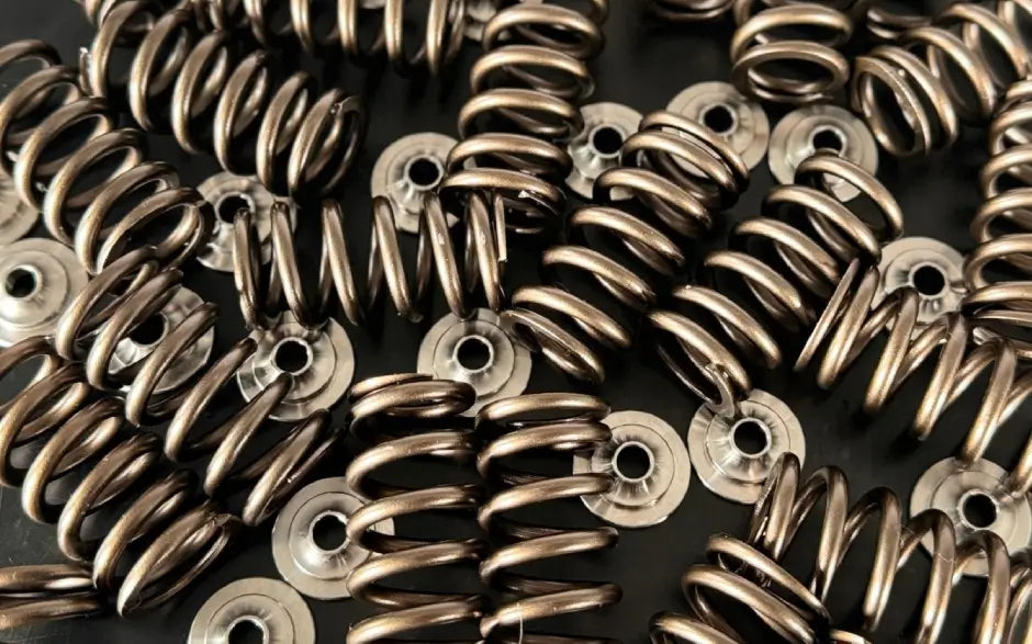 3L Ecoboost V6 | Valve Springs