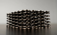 Load image into Gallery viewer, 3L Ecoboost V6 | Valve Springs